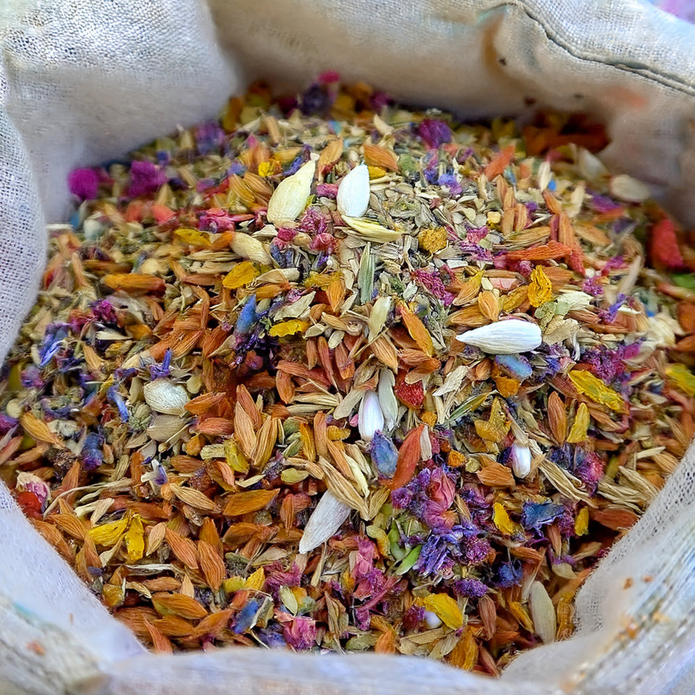 🌹🦌GFOUK® Charming Blossom Seeds