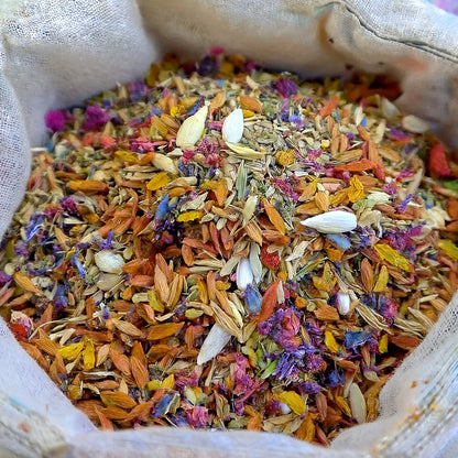 🌹🦩GFOUK® Charming Blossom Seeds